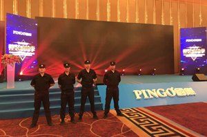 2017年PINGO国际整装活动现场